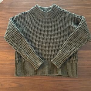 Everlane chunky wool ribbed knit sweater